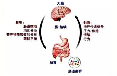 歌手李玟轻生离世……该如何走出抑郁黑洞？菌群移植或可终结重度抑郁，挽救生命！