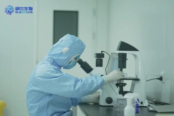 禁食减肥易诱发感染：如何使用FMT科学减肥，改善肠道？